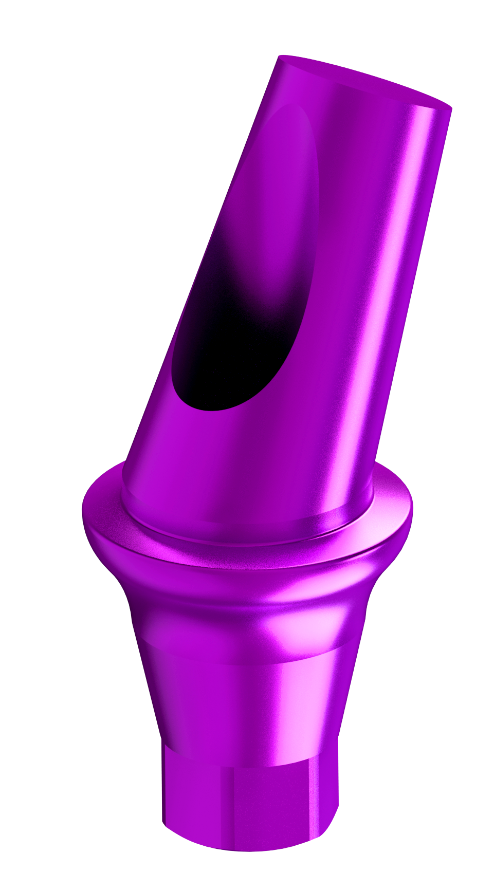Abutment (Anatomically angled 25`)