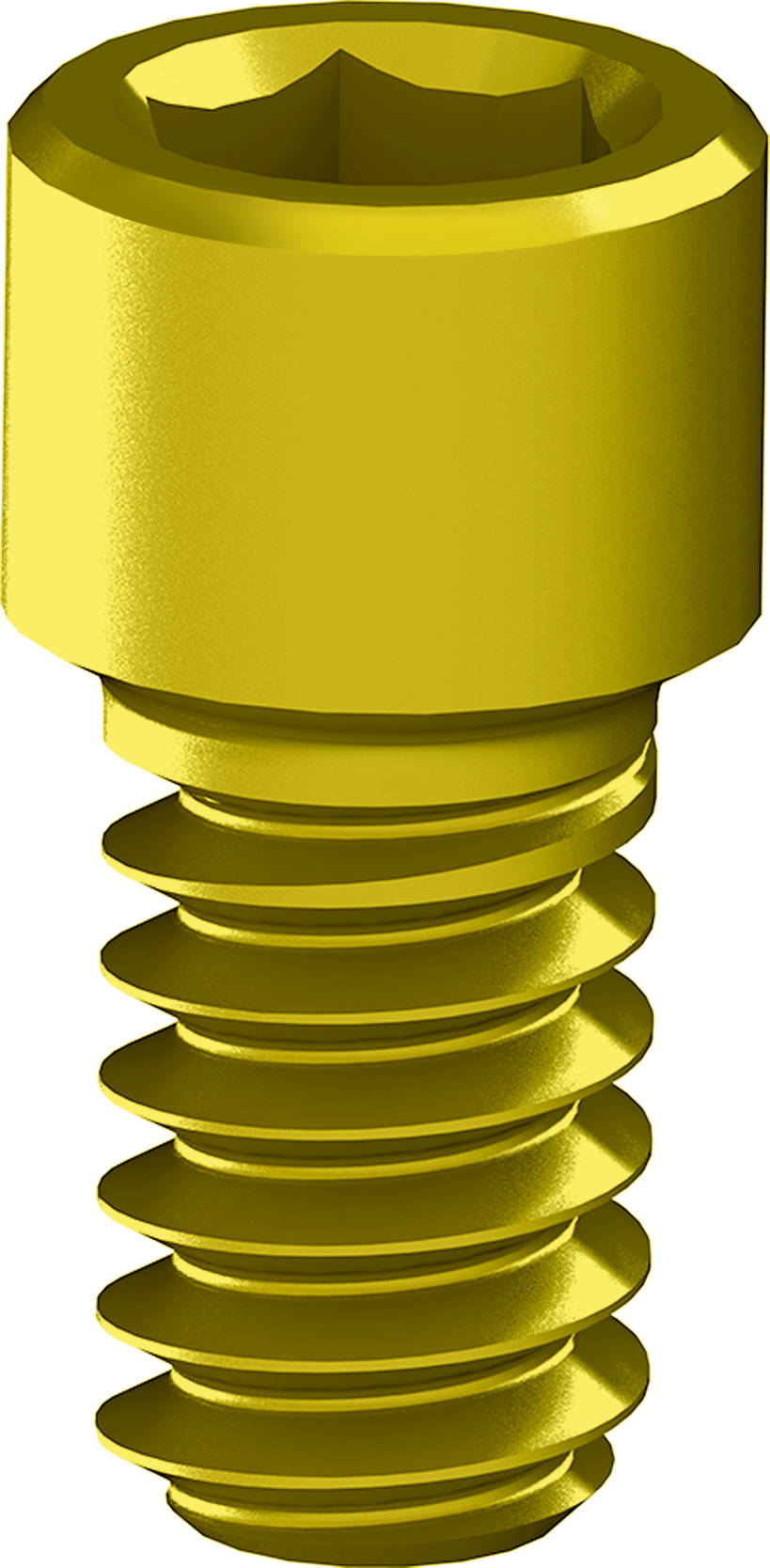 SSA fixing screw